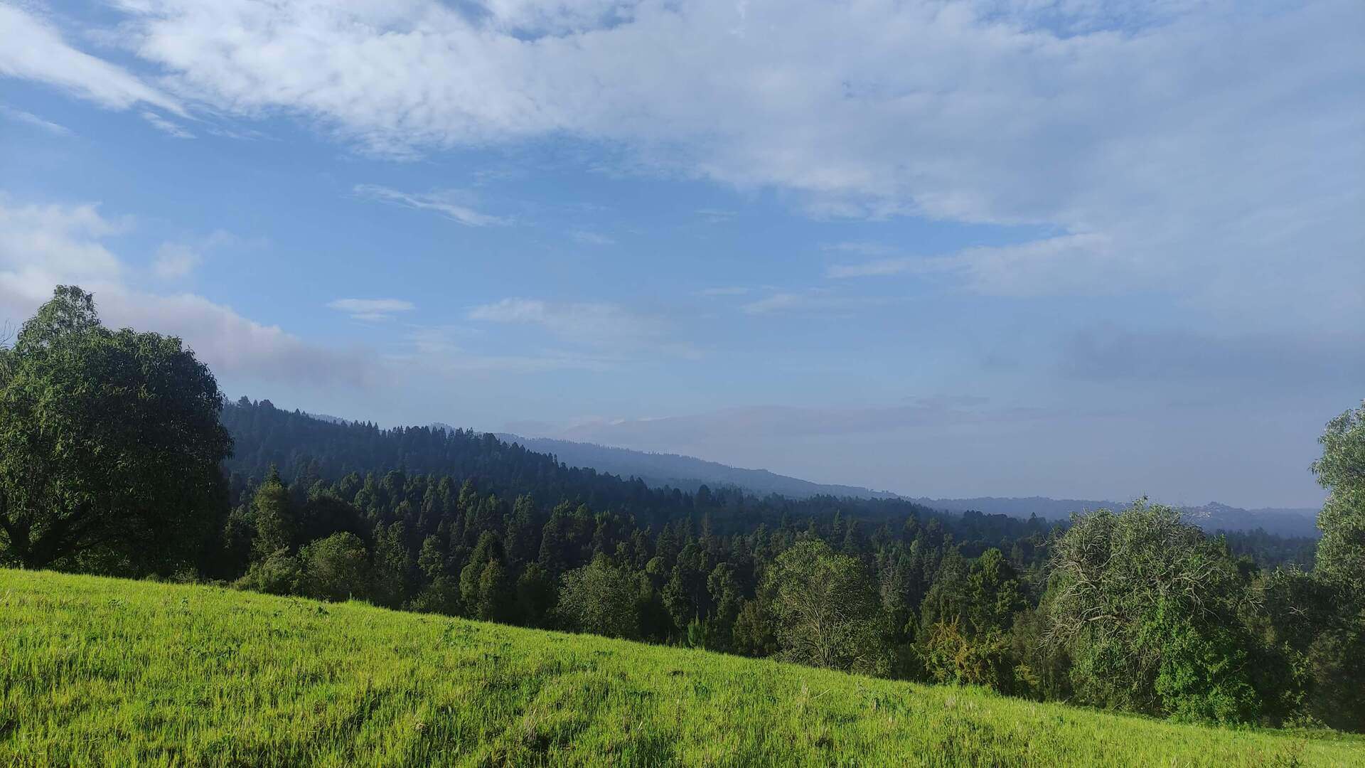 Un paisaje lleno de árboles y un cielo azul.